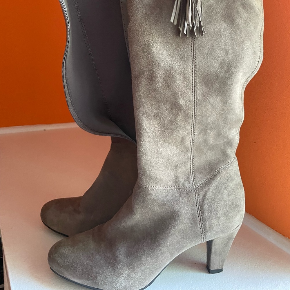 Bandolino Suede Heeled Knee High Boot